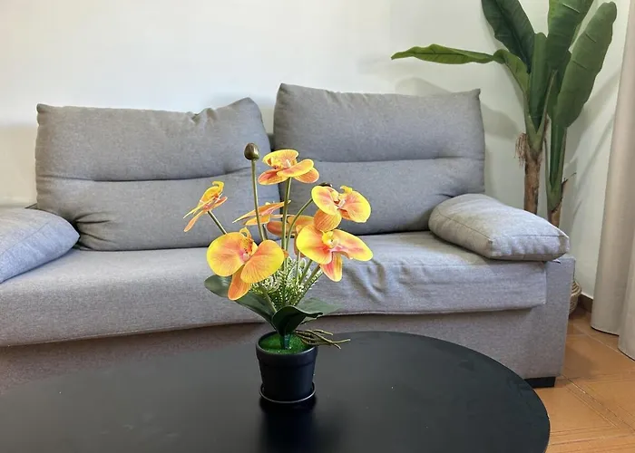 En Rambla 4 Pax Daire *